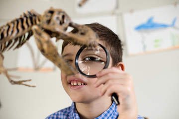A school boy looking at a dinosaur model through a magnifying glass © craftykat