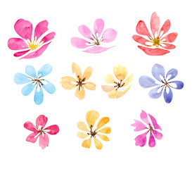 Fototapeta na wymiar Set of sketch style watercolor blue,pink and red rose flowers, blooms, blossoms isolated on white background. Simple pink and red watercolor rose flowers, collection of decoration element