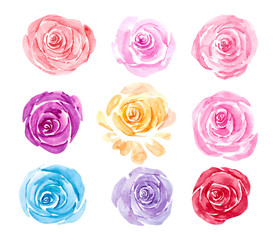 Set of sketch style watercolor  blue,pink and red rose flowers, blooms, blossoms isolated on white background. Simple pink and red watercolor rose flowers, collection of decoration element