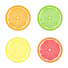 Flat icon citrus fruit collection set.Orange ,lime ,lemon and grapefruit isolated on white background.Design for clipart.