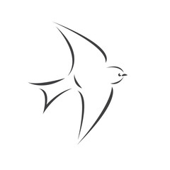Vector swallow flying design on white background. Bird. icon. Wild Animals. symbol. logo. Illustrator
