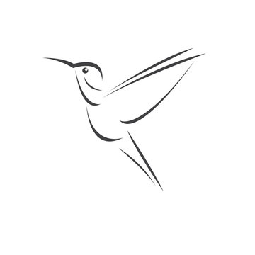 recommend clip art: Vector image hummingbird design on white background. icon symbol. Illustrator. Black and White