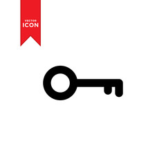 Key icon vector. Trendy flat design style on white background.