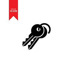 Key icon vector. Trendy flat design style on white background.