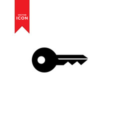 Key icon vector. Trendy flat design style on white background.