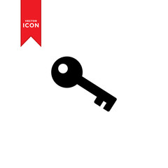 Key icon vector. Trendy flat design style on white background.