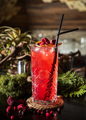 tasty cocktail in the bar