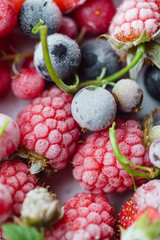frozen berries macro, top view