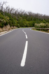 Kanaren La Gomera im Frühling