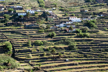 Kanaren La Gomera im Frühling