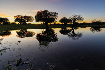 Sunset landscape in a lagoon near Arroyo de la Luz. Extremadura. Spain.