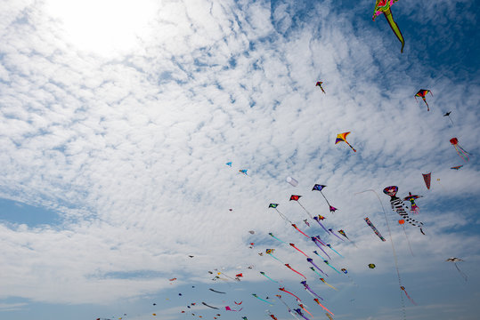 Kites with blue sky and white clouds