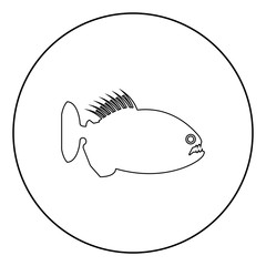 Piranha angry fish icon in circle round outline black color vector illustration flat style image