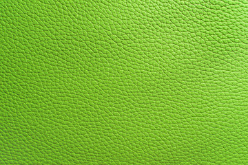 rich green rough skin texture