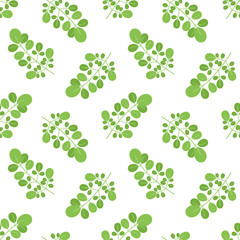 Vector seamless pattern background with green moringa oleifera leaves.