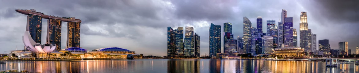 Foto op Aluminium Panorama of skyline of downtown Singapore © Rex Wholster