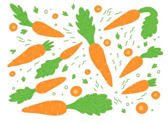 Carrot vector illustration isolated set. Concept of healthy food, vegetable for background, icon design. Carrot have abstract, simple cartoon, hand drawn style.