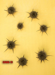 Model of a coronavirus strain from Wuhan.Conceptual exposure- COVID 19- CORONAVIRUS. Natural element- Dipsacus