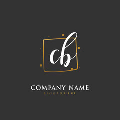 Handwritten initial letter C B CB for identity and logo. Vector logo template with handwriting and signature style.