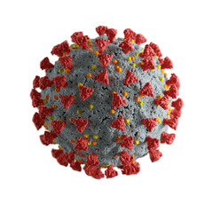 Corona virus