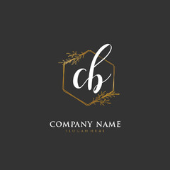 Handwritten initial letter C B CB for identity and logo. Vector logo template with handwriting and signature style.