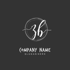 Handwritten initial letter Z B ZB for identity and logo. Vector logo template with handwriting and signature style.