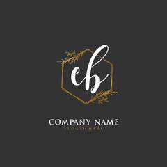 Handwritten initial letter E B EB for identity and logo. Vector logo template with handwriting and signature style.