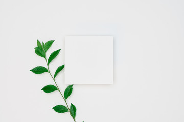 Creative layout made of papers and leaves Flat lay. Minimal nature concept.