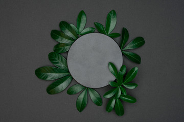 Creative layout made of papers and leaves Flat lay. Minimal nature concept.