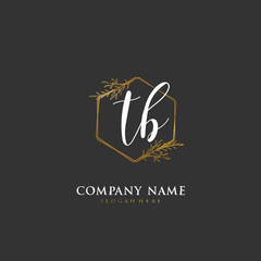 Handwritten initial letter T B TB for identity and logo. Vector logo template with handwriting and signature style.