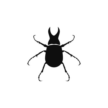 Beetle Logo template vector illustration design