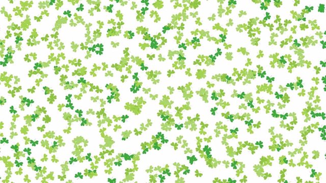The leaves of the clover. Video for St. Patrick's Day.