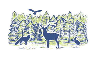 Sketch vector landscape with coniferous forest and animals. Animals silhouettes. Deer, hare, fox, owl. Design for print, cover, poster, web design, banner