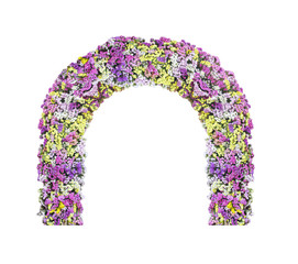 Flower arch or fresh colorful gypsophila isolated on white background ,clipping path