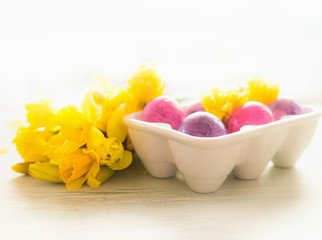 Easter eggs in holder with yellow daffodils at white background