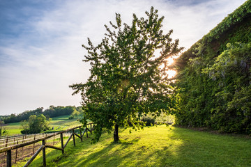 Abandoned farm in the countryside of Italy