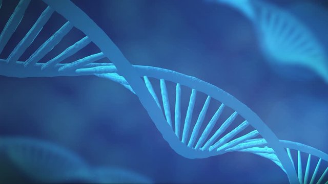 3D animation of abstract DNA on dark backdrop with seamless loop. Conceptual design of genetic information for science animation. Hologram blue glowing rotating DNA double helix on black background.
