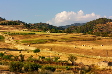 Sunny landscape of colors of harvest time. Fields with dry straw and straw bales  Travels postcard.