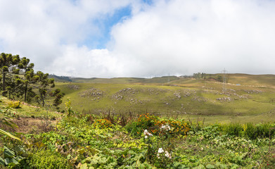 Paisagem rural