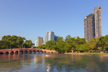 Fototapeta premium View in the city park surrounded by tall buildings