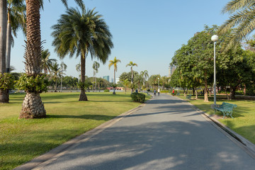 Beautiful path view in the park in the evening.