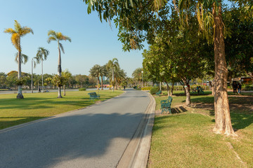 Obraz premium Beautiful path view in the park in the evening.