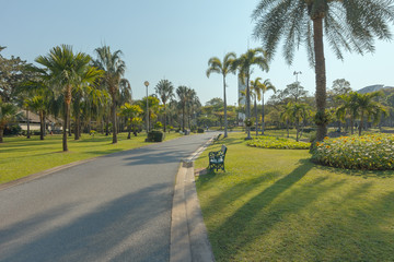Obraz premium Beautiful path view in the park in the evening.