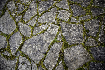 Stone floor with moss