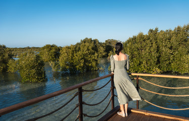 Naklejka premium Female tourist visiting Mangrove walk seaside park in Abu Dhabi, UAE