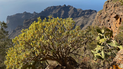 Kanaren La Gomera