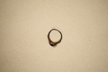 Fototapeta na wymiar old ring lies in the sand
