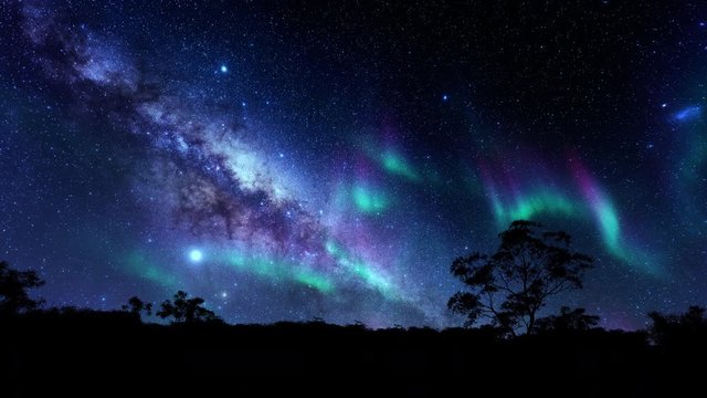 Trees silhouettes against magical timelapse northern lights and starry sky, 4K