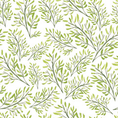 Seamless pattern of leaves from the garden. Botanical hand-drawn watercolor illustration. Design for postcard, invitation, wedding, packaging, fabrics, textiles, wallpapers website