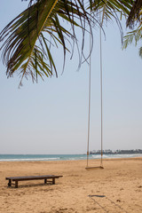 sunbed and swing under palm trees on the ocean